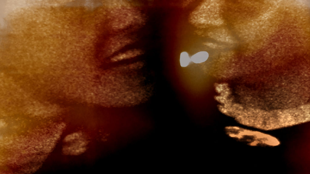 TT Takemoto at Stanford