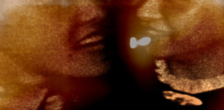 TT Takemoto at Stanford