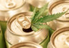 aluminum cans with a hemp leaf on top