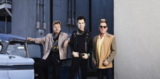 Stray Cats in Saratoga