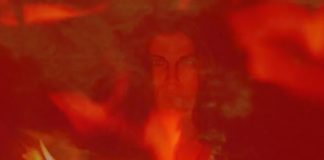 Serpentent in San Jose