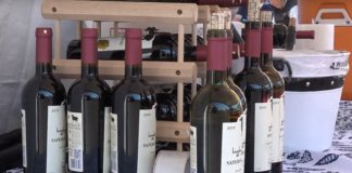 Mountain View Arts and Wine Festival