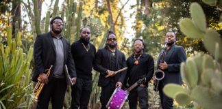 Cosmic Roots in San Jose