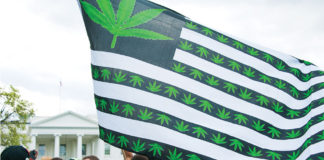American flag modified with green marijuana leaves