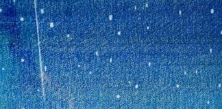 Tri Cong Dang in Los Altos