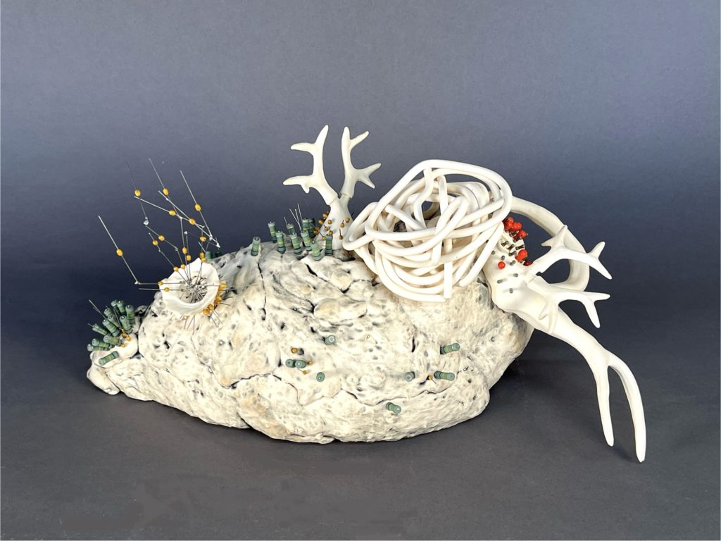 Mitra Fabian in Los Gatos