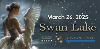 Swan Lake in San Jose