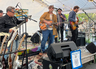 members of a band playing live