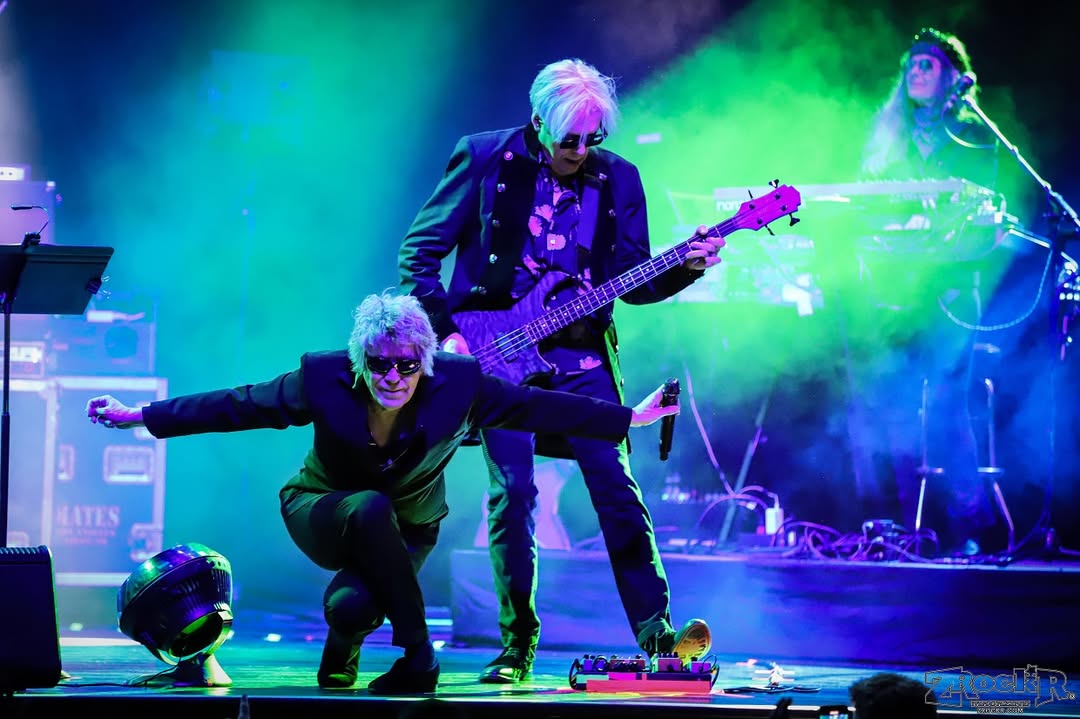 PFurs-Zrocker.jpg