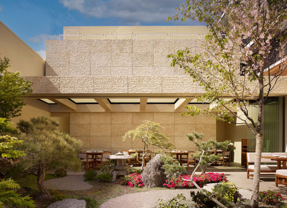 Courtyard of restaurant filled with plants and flowers