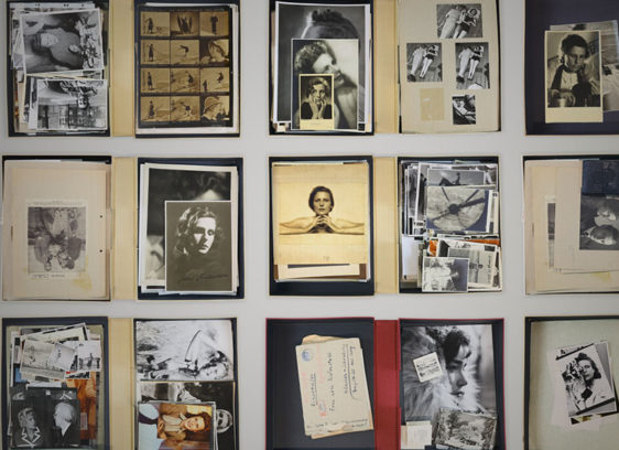 Array of archival photographs and documents laid out on a grid