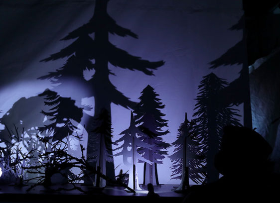 Shadow images of trees on a stage