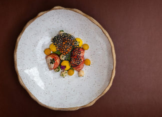 Food in the middle of a very large plate, photographed from above