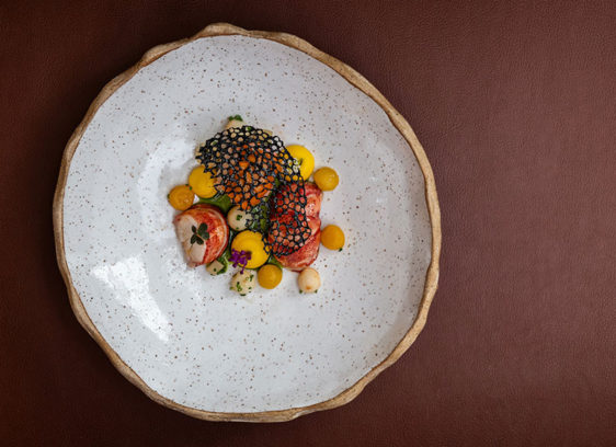 Food in the middle of a very large plate, photographed from above