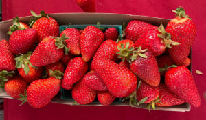 Basket of strawberries on a tablecloth