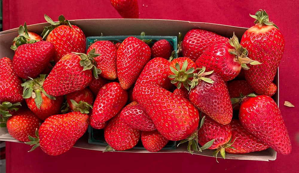 Basket of strawberries on a tablecloth