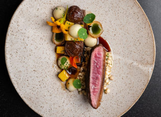 Plate at Cafe Vivant with duck meat and root vegetables, all covered in sauce