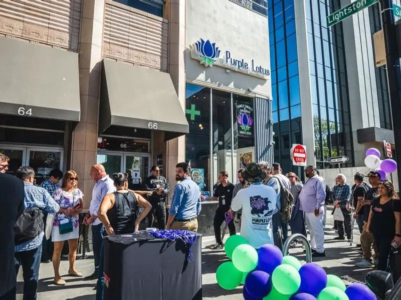Why Fresh Cannabis Flower Matters at Purple Lotus San Jose