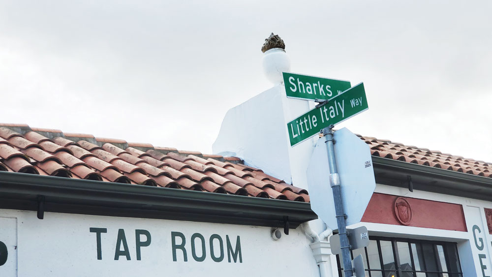 Visions of World Cup Parties in San Jose