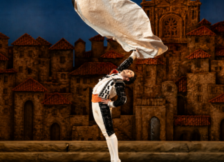 Don Quixote in Mountain View