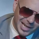 Pitbull in Mountain View