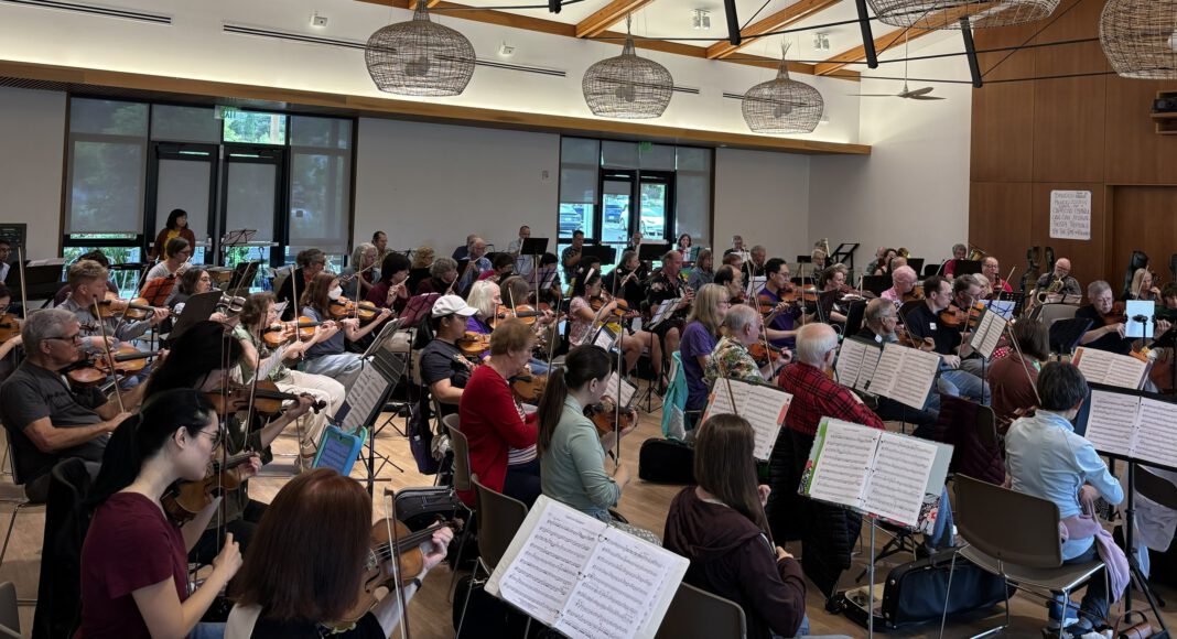 Terrible Adult Chamber Orchestra in Mountain View
