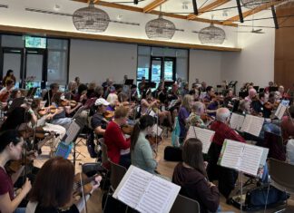 Terrible Adult Chamber Orchestra in Mountain View