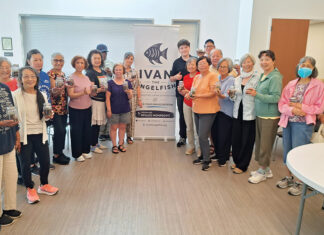 Age Well Center Terrarium Class, ivan the angelfish