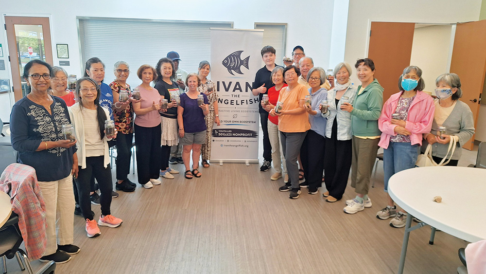 Age Well Center Terrarium Class, ivan the angelfish