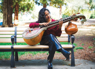 Ananya Ashok, veena player, santa clara california