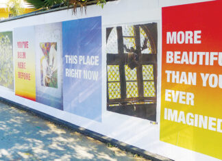 susan o'malley, san jose artist, optimistic posters