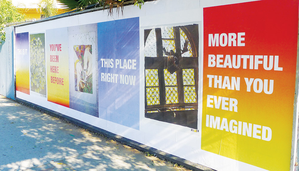 susan o'malley, san jose artist, optimistic posters