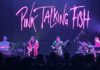 Pink Talking Phish in Menlo Park