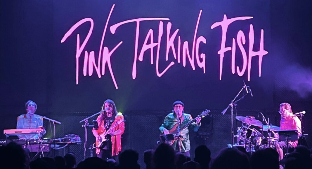 Pink Talking Phish in Menlo Park