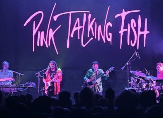 Pink Talking Phish in Menlo Park
