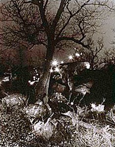 Marie Favorii artwork