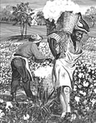 'Woman Carrying Cotton'