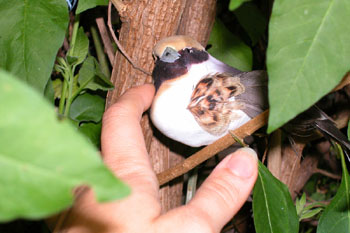 Desiree Arlette Holman artwork