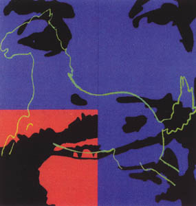 'Untitled for Che and Zapata'