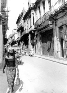 Jose Constantino photo