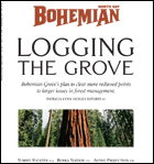 North Bay Bohemian cover photo