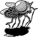 the fly
