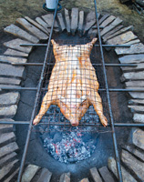 Pig roast
