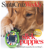 Metro Santa Cruz cover photo