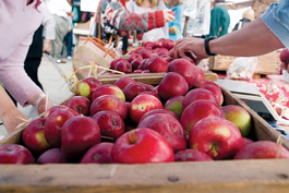 Aptos Farmers Market