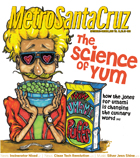 Metro Santa Cruz cover photo