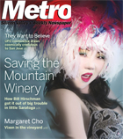 Metro Silicon Valley cover photo