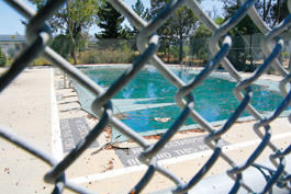 Alviso Pool
