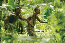 'Journey From the Fall'