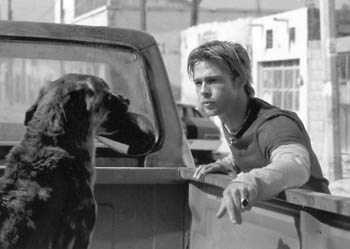 Brad Pitt and Dog